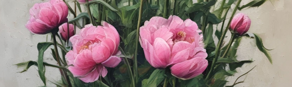 User banner image