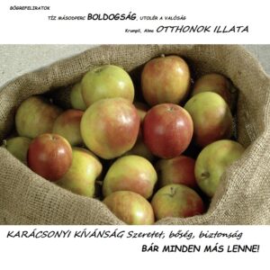 BÖGREFELIRATOK