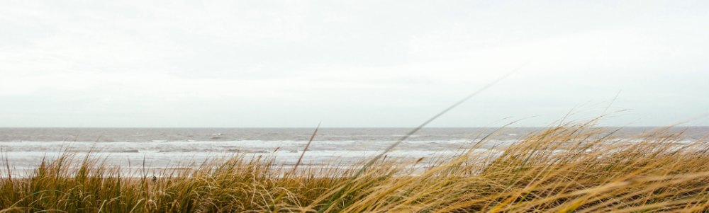 User banner image