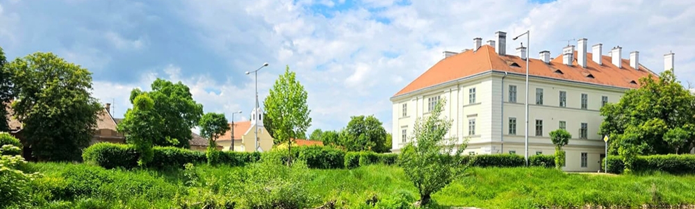 User banner image