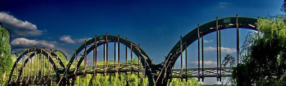 User banner image