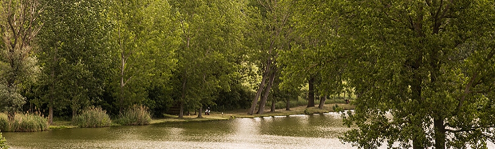 User banner image