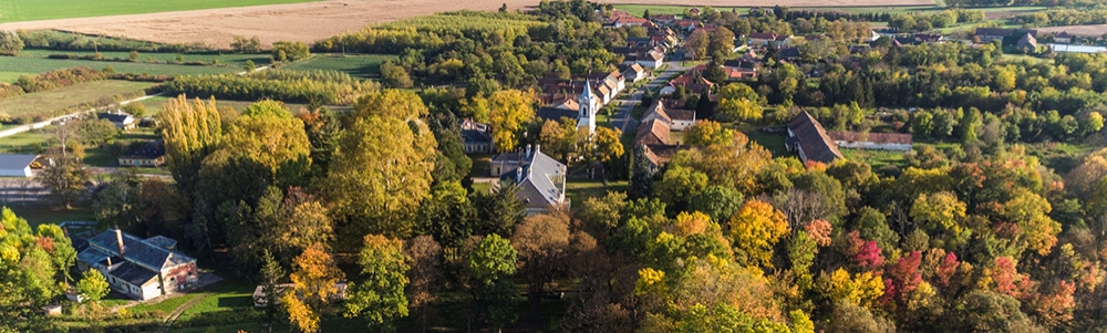 User banner image