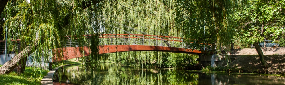 User banner image