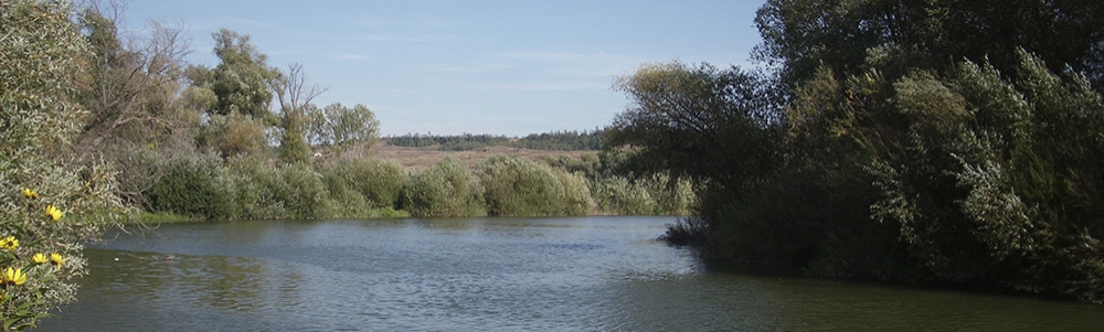User banner image