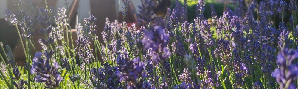 User banner image