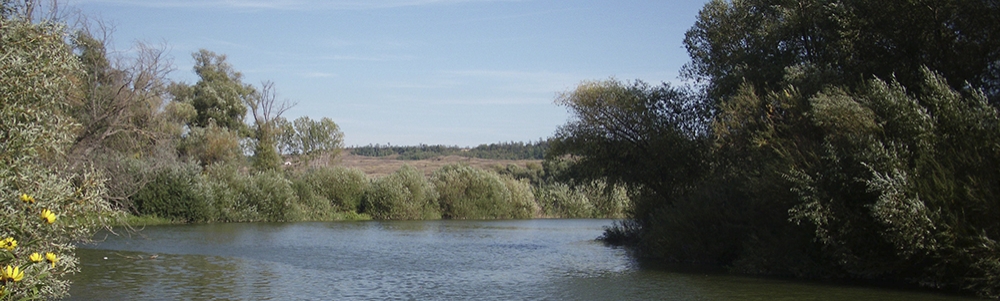 User banner image