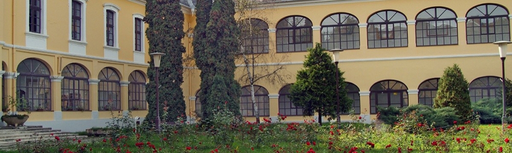 User banner image