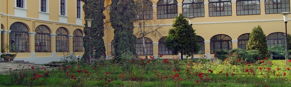 User banner image