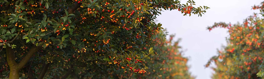 User banner image