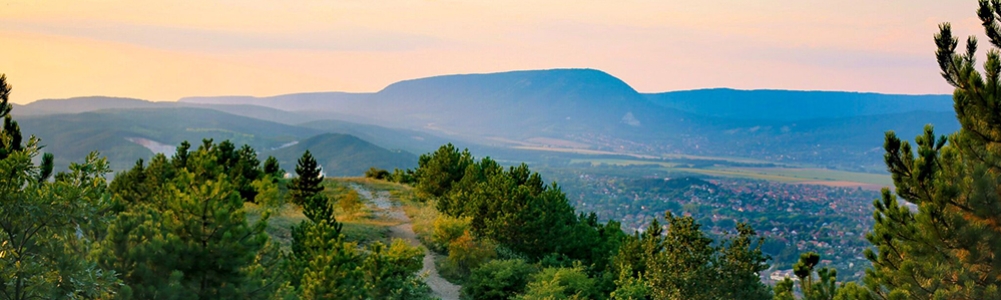 User banner image