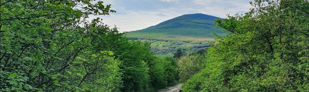 User banner image