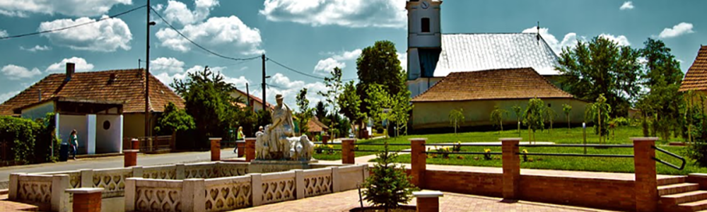 User banner image