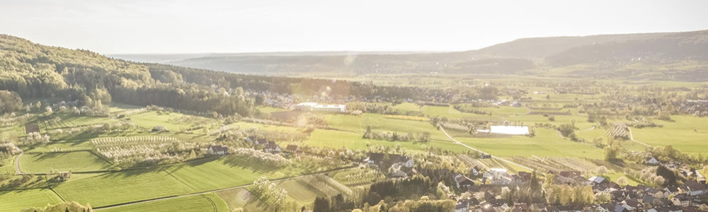 User banner image